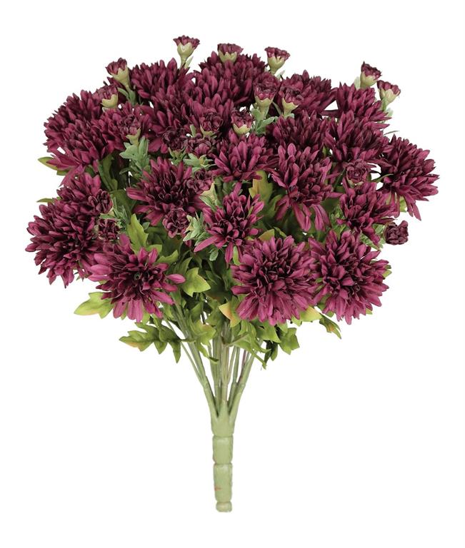Plum Mum Bush