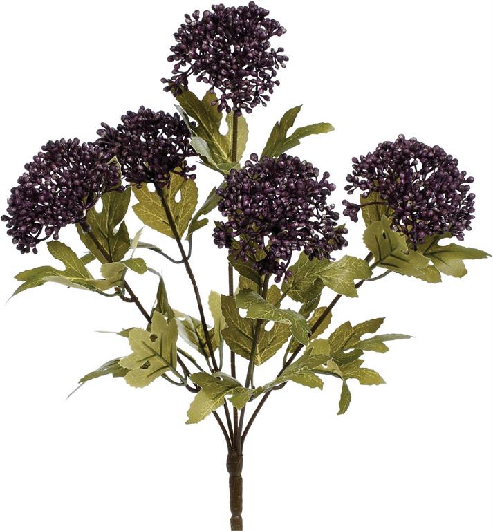 Eggplant Yarrow Bush