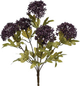 Eggplant Yarrow Bush