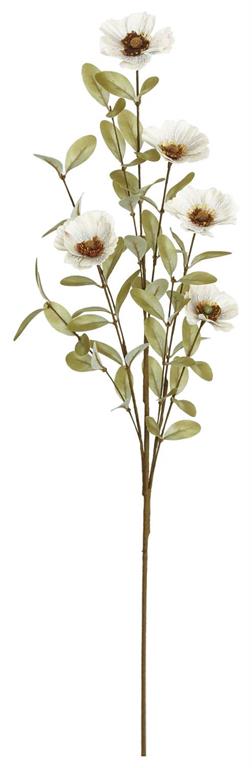 Beige Cosmos Spray