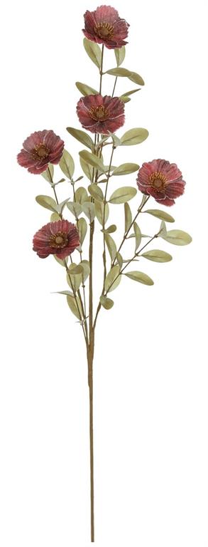 Burgundy Cosmos Spray
