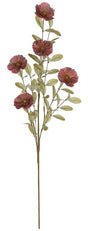Burgundy Cosmos Spray
