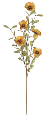 Golden Cosmos Spray