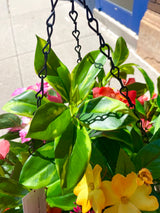 23" Summer Tropical Breeze Hanging Basket