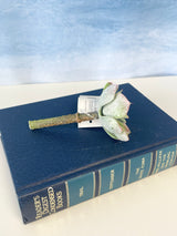 Sage & Red Echeveria Pick