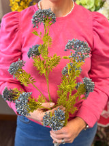 Blue Cluster Seed Spray