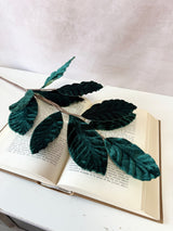 Emerald Modern Tree Leaf Spray