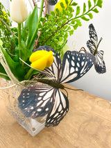 20" Butterfly Kiss Drop-In