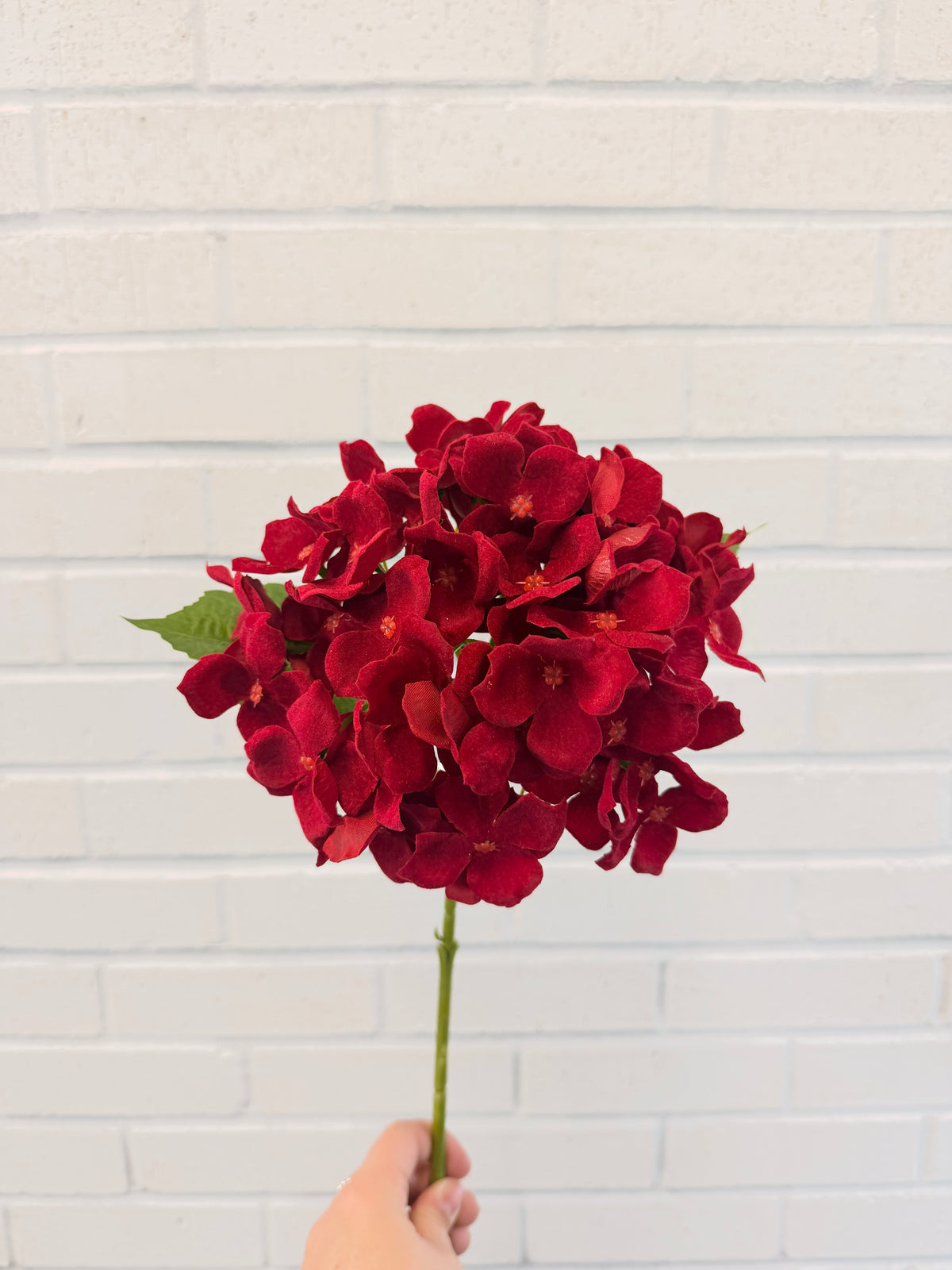 Red Royal Hydrangea Spray