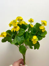 Yellow Lantana Bush