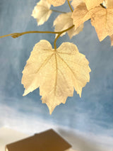 Draping Beige Maple Leaf Spray