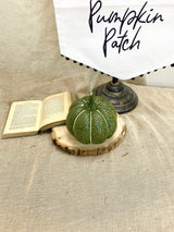 6" Green Spotted Pumpkin
