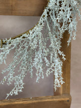 20" Christmas Concert Iced Wreath