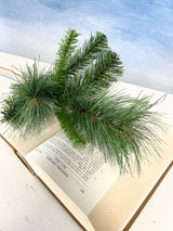 Short Himalayan Pine Pick