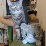 Grey Kitty Plush Mini Squishable