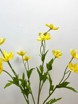 Yellow Mini Cosmos Spray