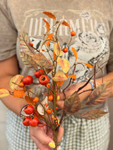 Orange Crater Berry Pick