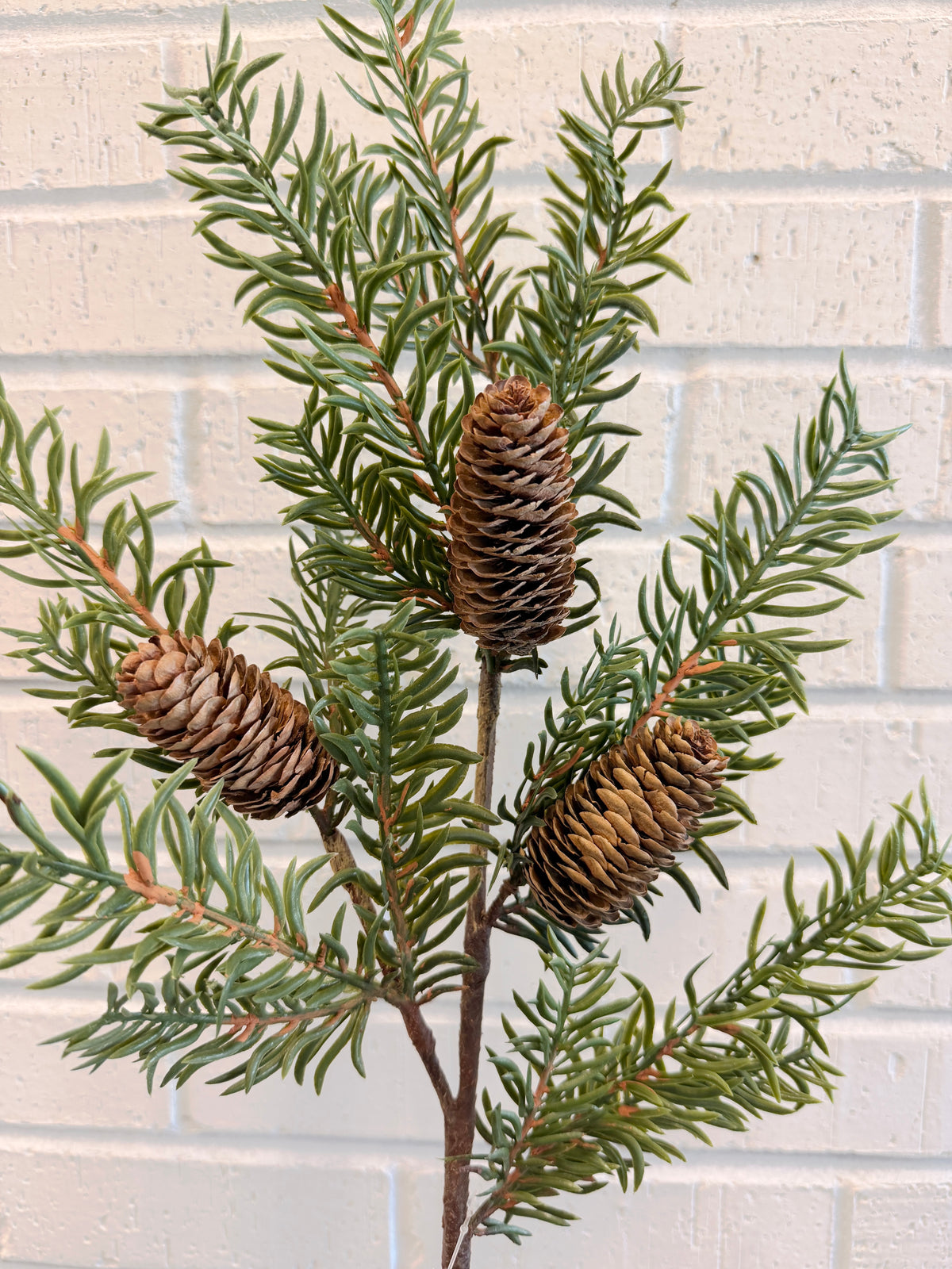 All Is Calm Pine Spray