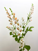 White Vinca Spray