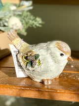 Winter Wing Bird