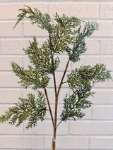Green Eastern Cedar Spray