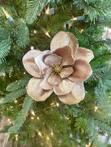 Velvet Mocha Magnolia With Gold Edge