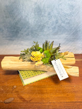 16" Succulent Woods Centerpiece