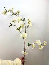 White Osaka Cherry Blossom Spray
