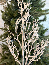 Snowed Natural Snow Branch