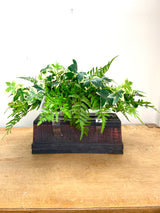 23" Green Goddess Memorial Saddle