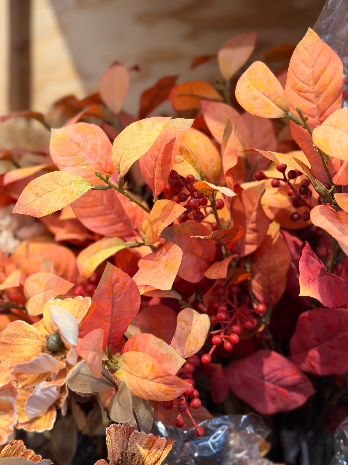 Orange Magnolia Leaf Spray