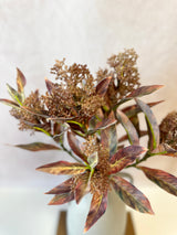 Seeded Artemesia Spray