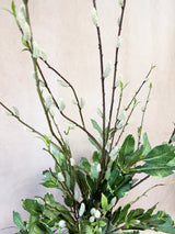 36" Willow Beauty Drop-In