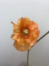 Coral Poppy Spray With Bud