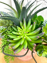 15" UV Protect A Day In The Sun Planter