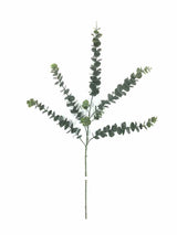 Eucalyptus Elegance Spray