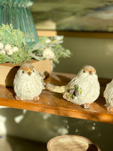 Winter Wing Bird