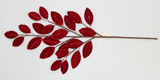 Red Flat Velvet Leaf Spray