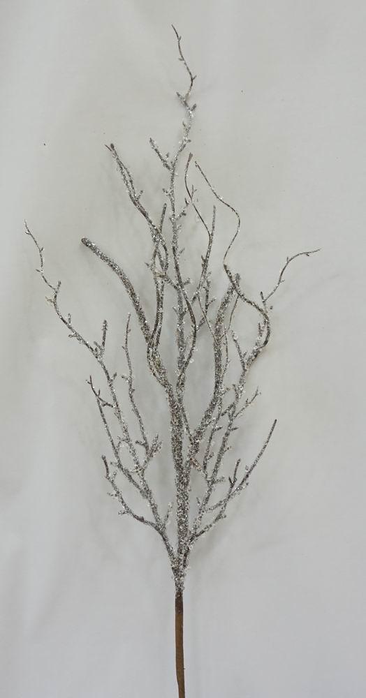 Winter Forest Twig Branch