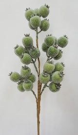 Bright Ice Pod Spray