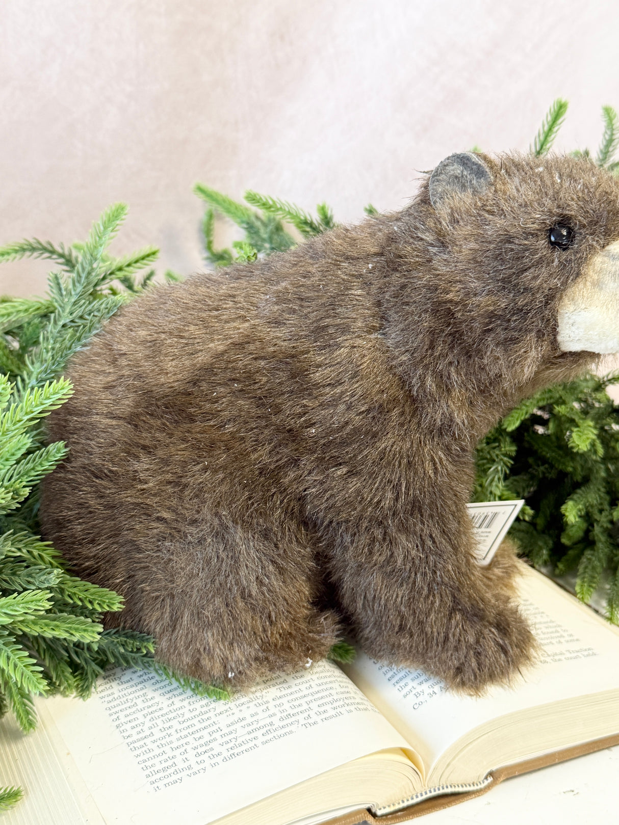 Sitting Brown Bear