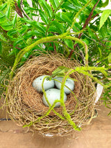 17" Nestled Greens Centerpiece