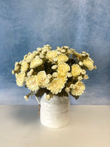 Ivory Mum Bush