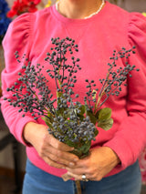 Dark Blue Foliage Seed Bush