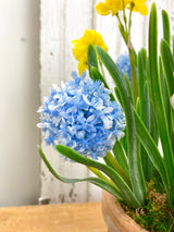 15" Spring In Bloom Centerpiece