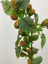 Coral Raspberry Spray