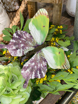 Green Purple Into the Field Butterfly Spray