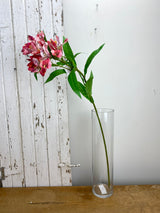 Pink Alstroemeria Spray
