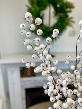 White Shiny Crabapple Spray