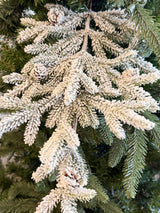 Snow Flurry Pine Stem